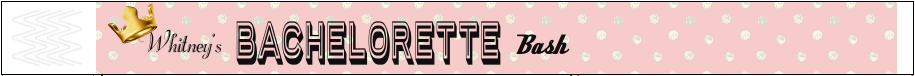 Bachelorette Party Wristbands