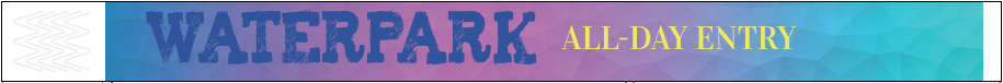 Waterpark Wristbands